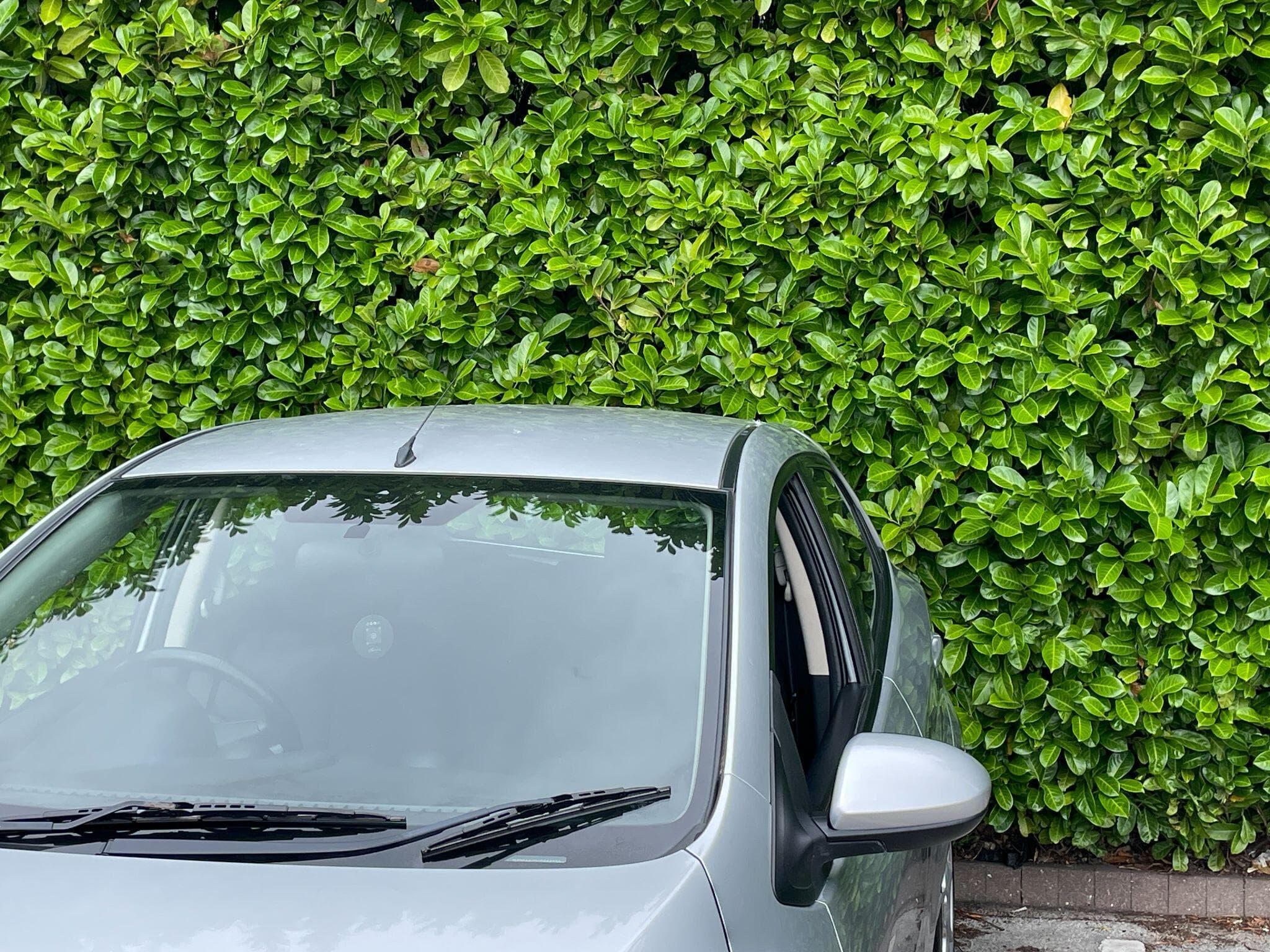 Mazda Mazda2 view 20